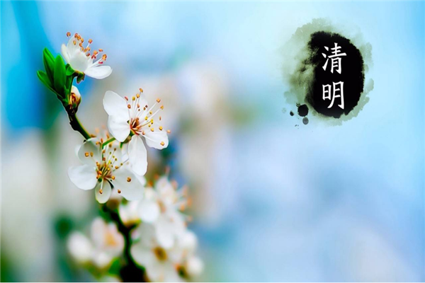 乐彩汇喷塑设备厂家 | 清明时节哀思中蕴含着希望
