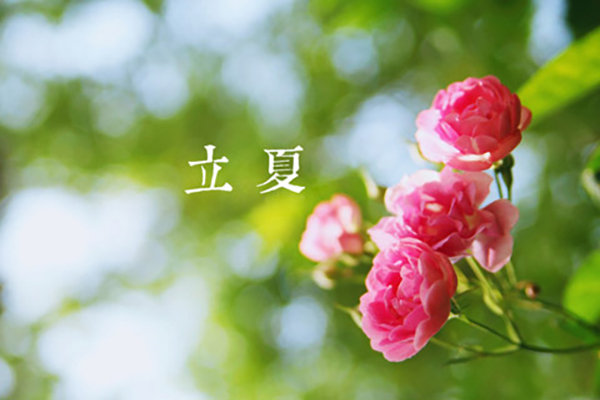 乐彩汇涂装|立夏,万物向阳,且共成长
